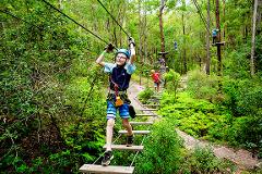 TreeTop Challenge - Tamborin Mtn Adventure Park