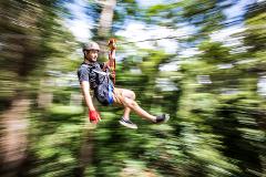 TreeTop Challenge - Sunshine Coast