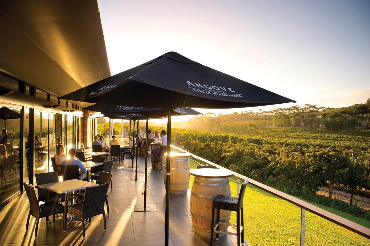 McLaren Vale Hop On Hop Off Tour - City Pick Up & Return