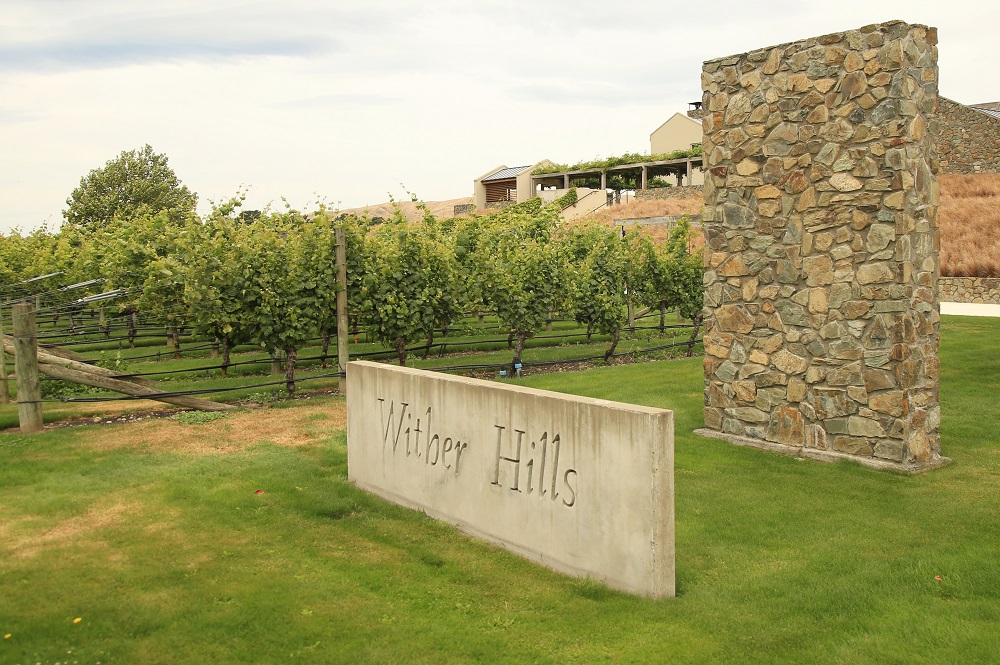Marlborough Hop On Hop Off Wine and Beer Tour - Full Day (Departing Picton i-SITE) - Photo 7