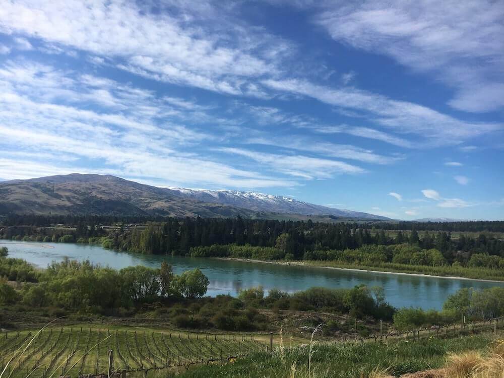 Bannockburn Hop On Hop Off Wine and Beer Tour — Central Otago - Photo 4
