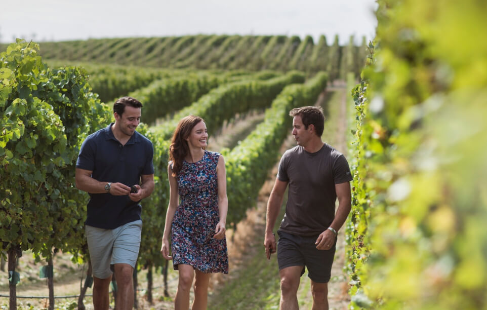Hop on Hop off Wine Tours: CRUISE SHIP DAYS - Hop on Hop off - Wine, Beer, Food & Wonders Tour - Marlborough — Marlborough - Photo 6