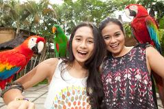 Bali Bird Park with Relaxation Time at Halo Bali Spa