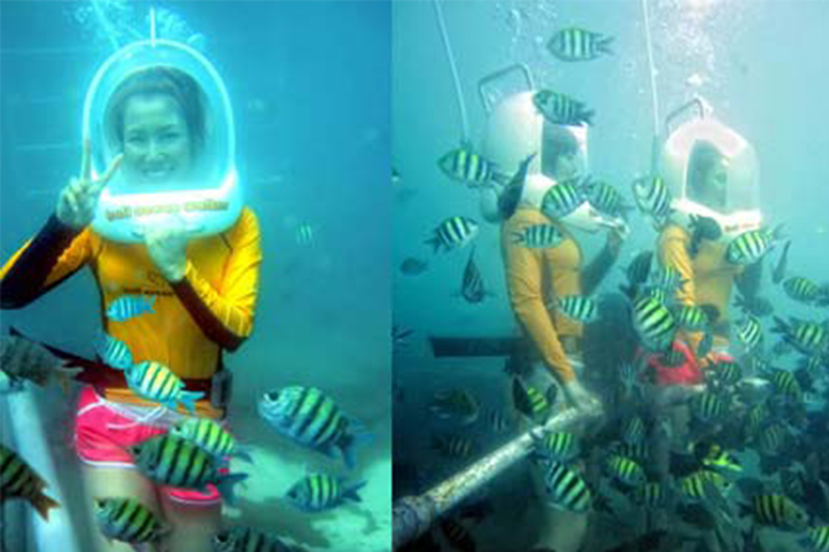 Underwater Life at Ocean Walker with Relaxation Time at Halo Bali Spa