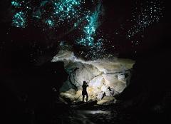 Glowworm Cave Photography Tour