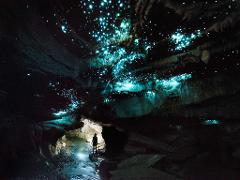 Off the Beaten Track - Waitomo Glowworm Cave Tour
