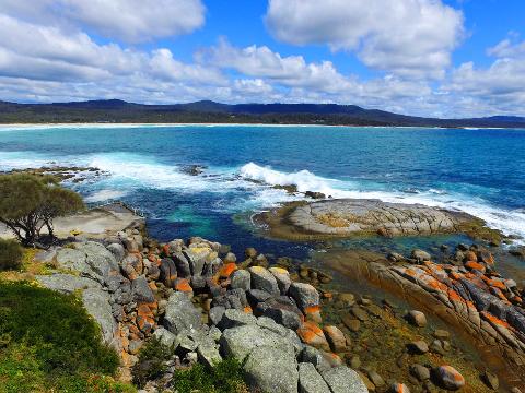 The Gardens Explorer Tasmania Australia