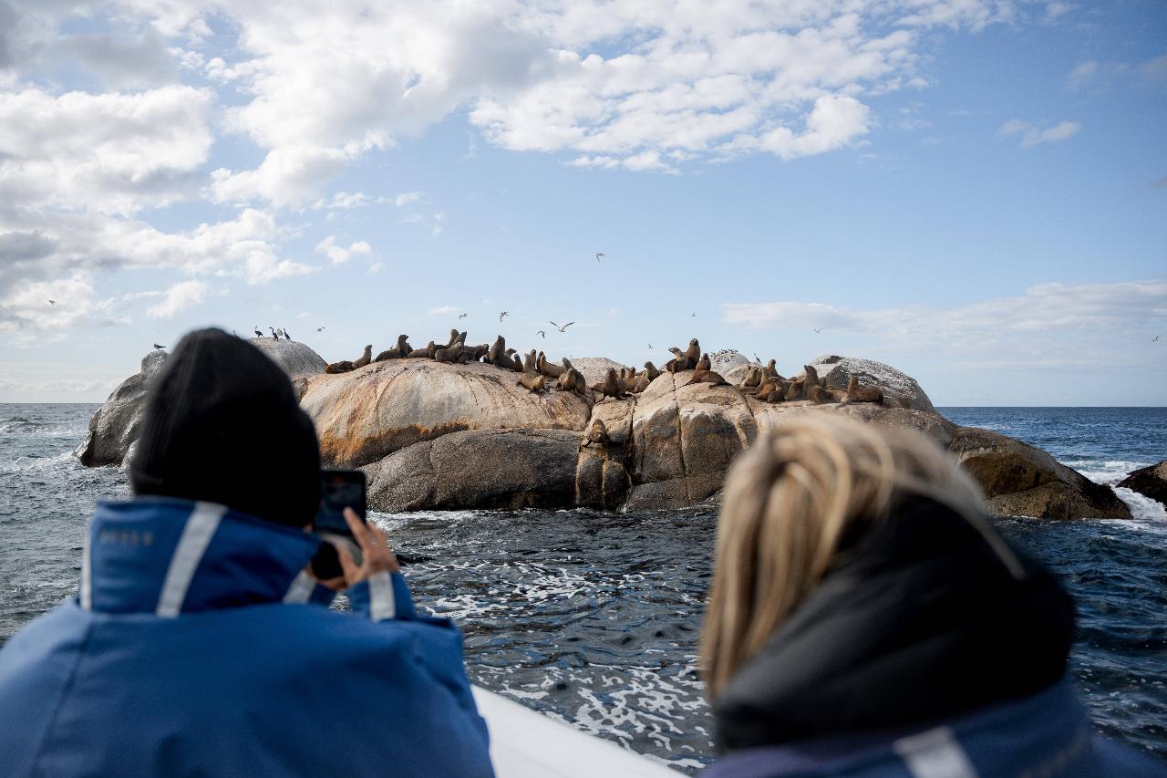 Sand, Seals and St Helens Island