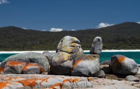 North Eastern Tasmania Voyageur – Full Day Tasmania Australia