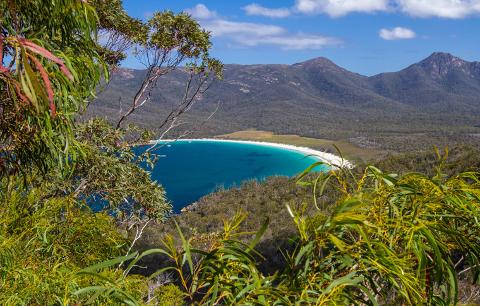 Freycinet National Park Pioneer – Full Day Tasmania Australia