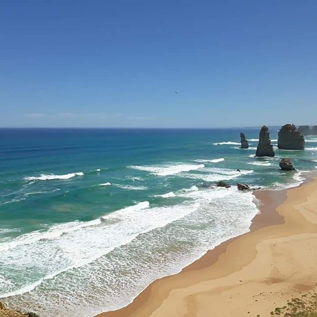 great ocean road 12 apostles kangaroos and koala tour