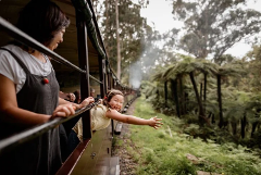 Puffing Billy and Penguin Parade Tour from Melbourne