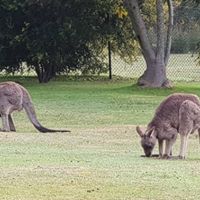 Great Ocean Road reverse  budget apostles tour