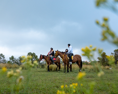 Horse Riding Experience - Tanomah KSA