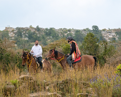 Advance Horse Riding Experience