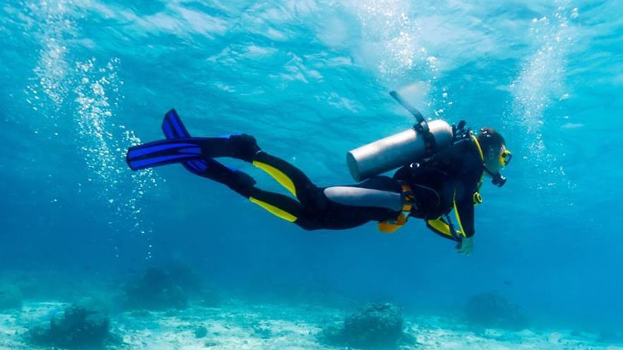 Discover Scuba Diving 365 Adventures Qatar Reservations