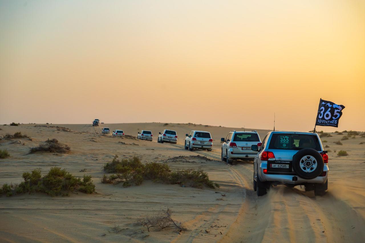 Adventure in the Desert