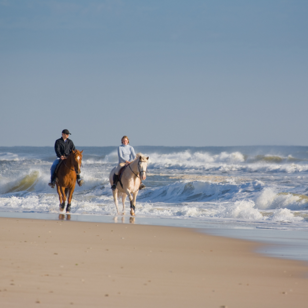 Horse Riding Experience - Jeddah KSA