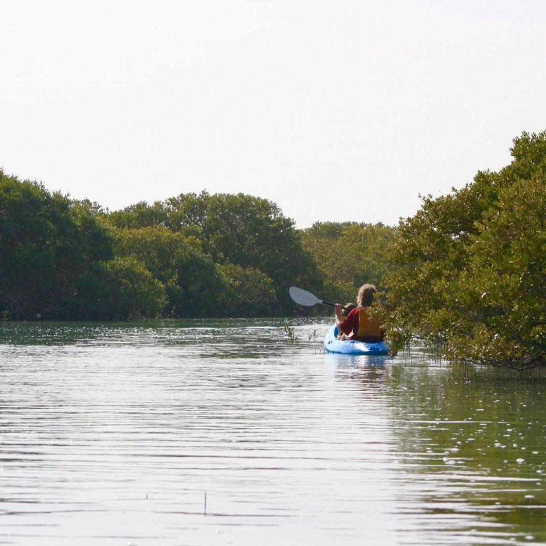 ## Kayaking in the Purple Island