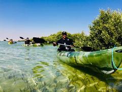 Product 3 – Mangroves Kayaking /Stand Up Paddling (Shared)