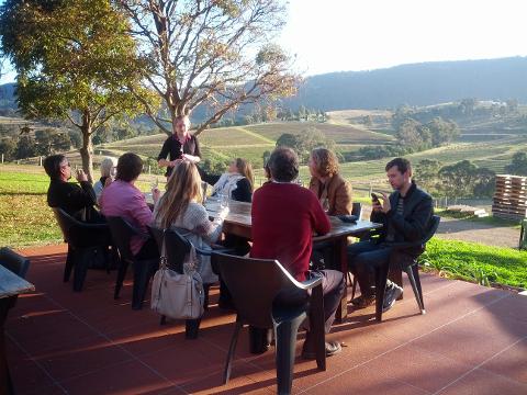 Gourmet Wine Tour