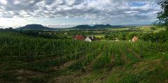 Small-Group Wine Tour to Somló and Northern Balaton