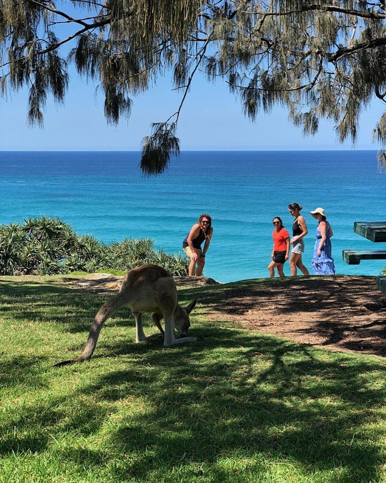 Day Tour - North Stradbroke Island - GOLD COAST DEPARTURE