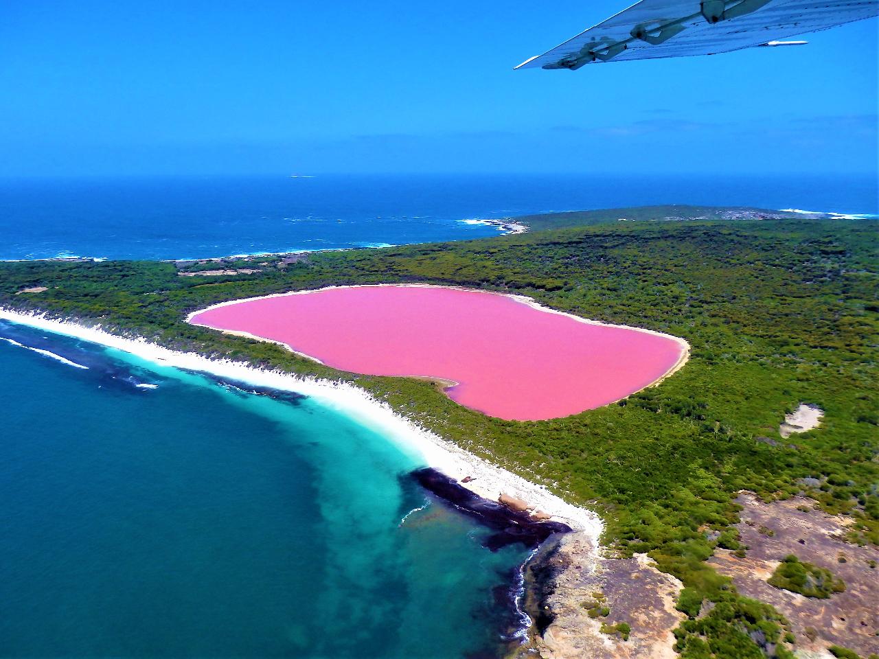 Lake Hillier-Middle Island Early Bird Special