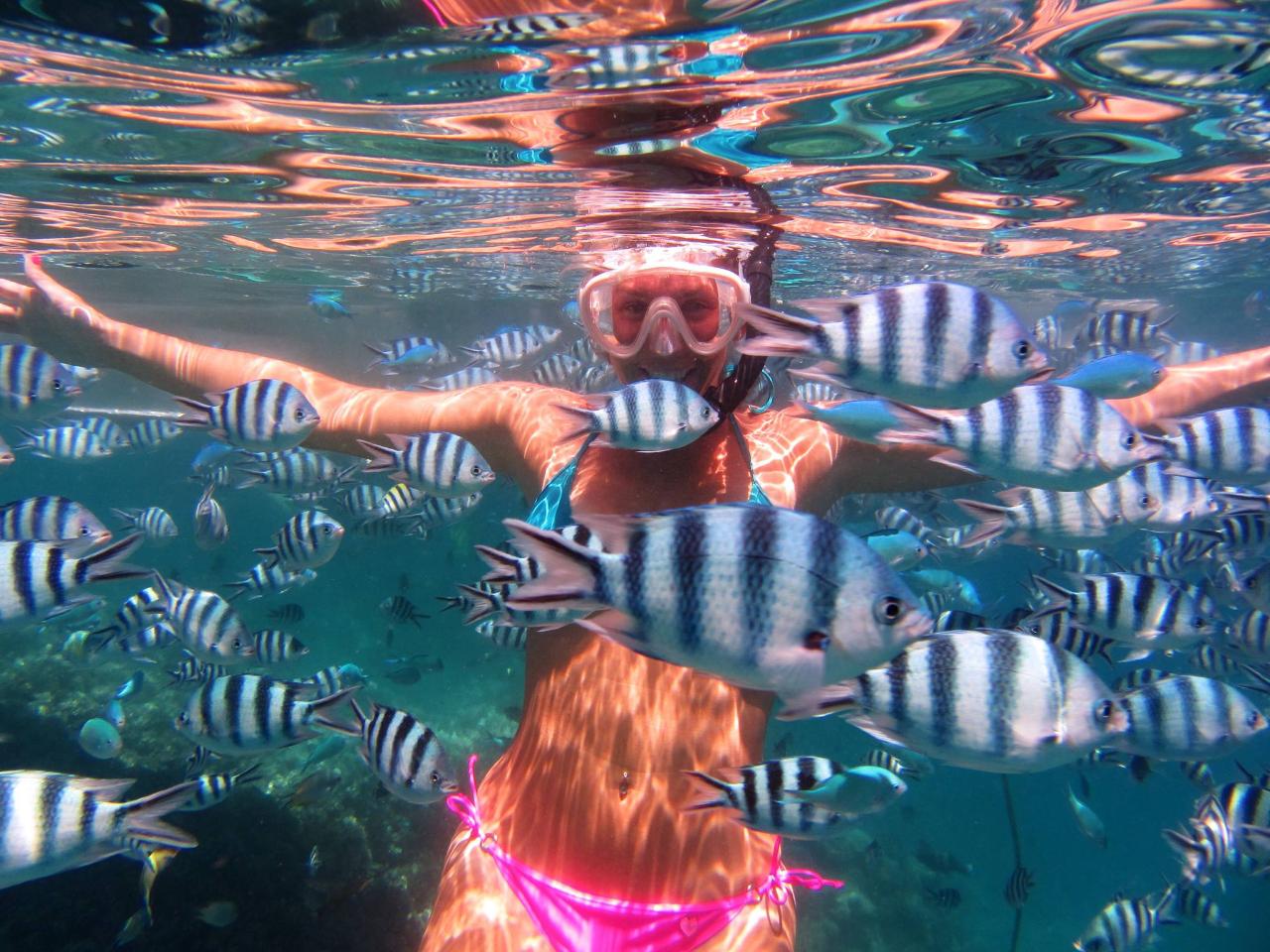 Turtle Canyons Snorkel Excursion