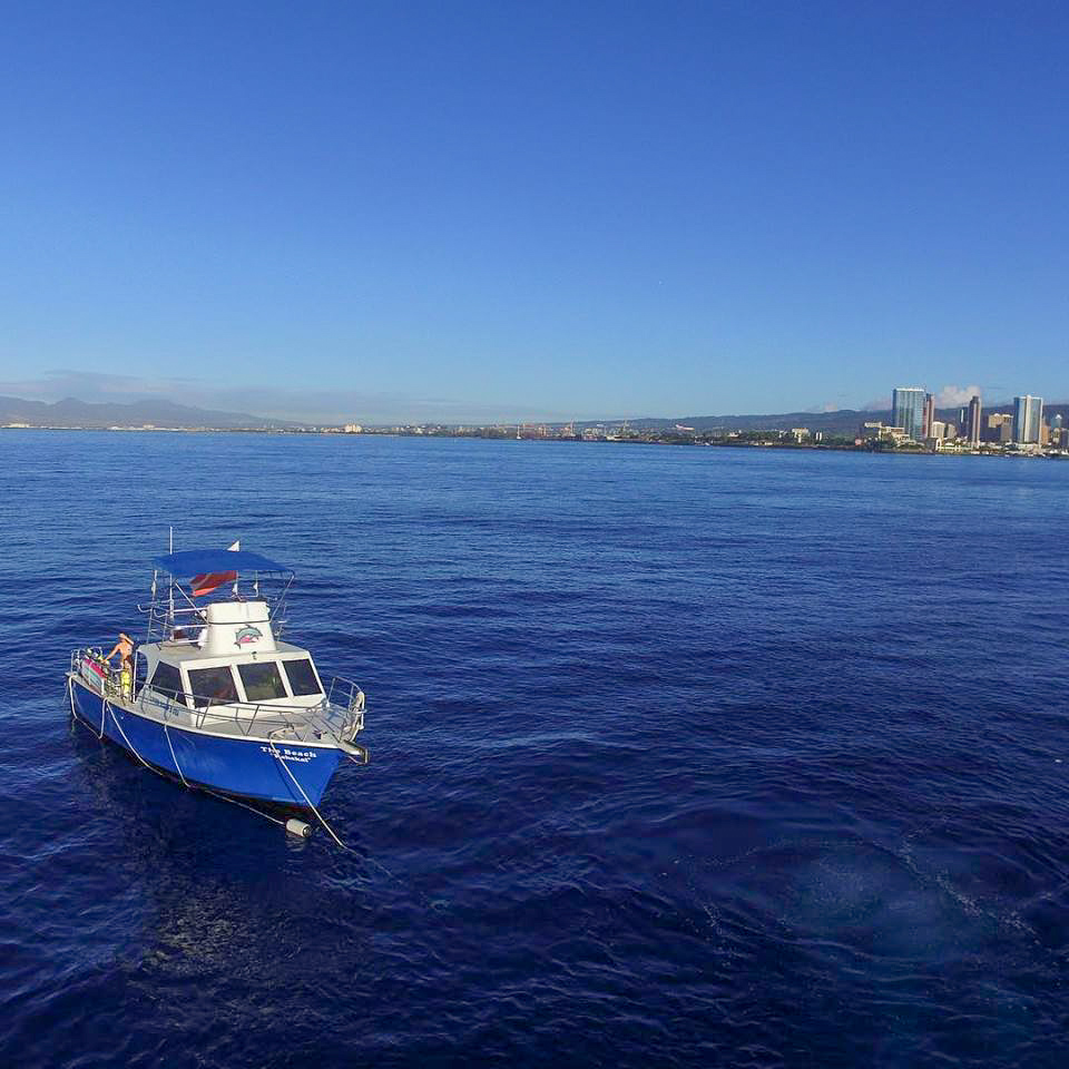 Private Charter