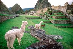 Signature Collection - Peru Essentials Vacation - 15 Days - $8,995pp