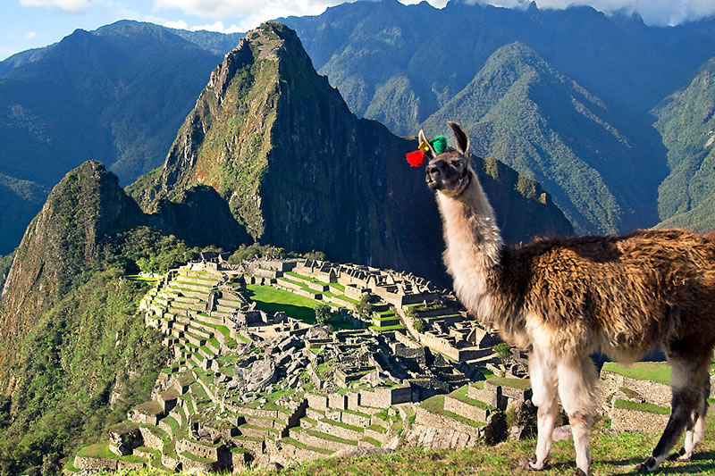 DAVID DARBY BESPOKE MACHU PICCHU AND AMAZON VACATION 8TH -20TH JUNE 22 X2 -V4