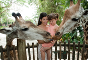 Singapore Zoo Tickets