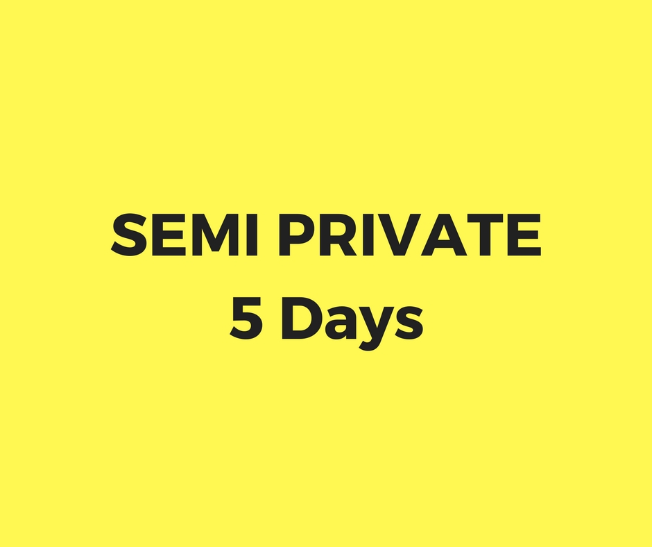 Semi private lesson 5 days package