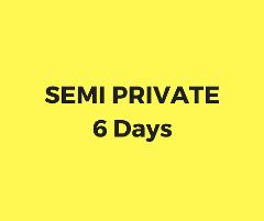 Semi private lesson 6 days package