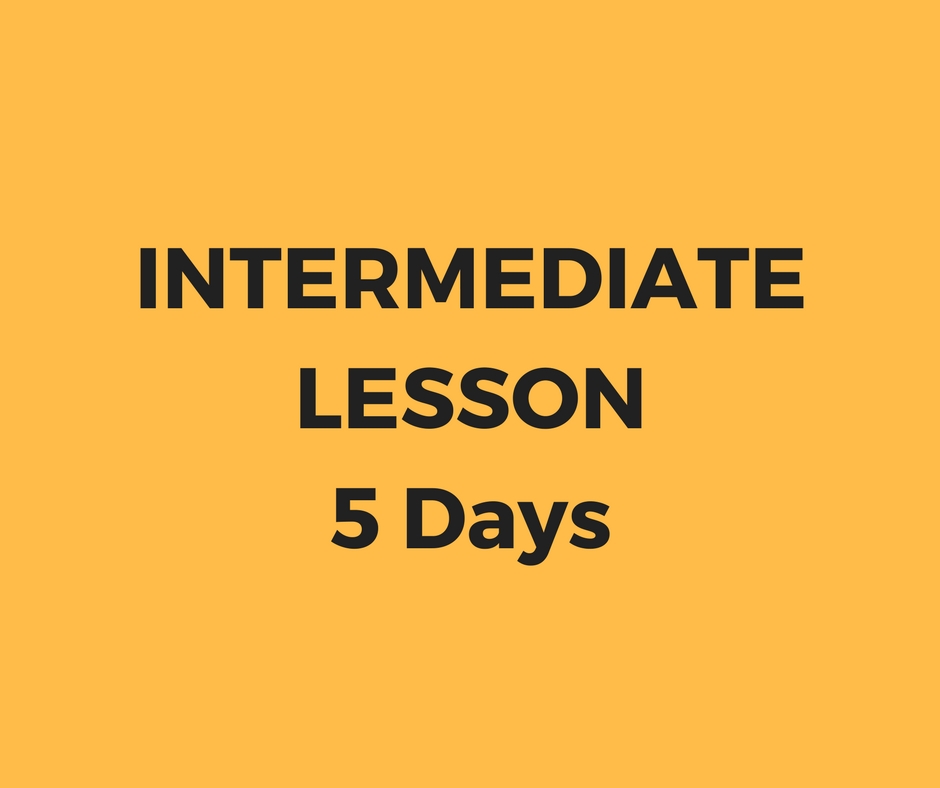 Intermediate lesson 5 days package