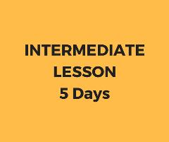 Intermediate lesson 5 days package