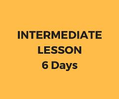 Intermediate lesson 6 days package