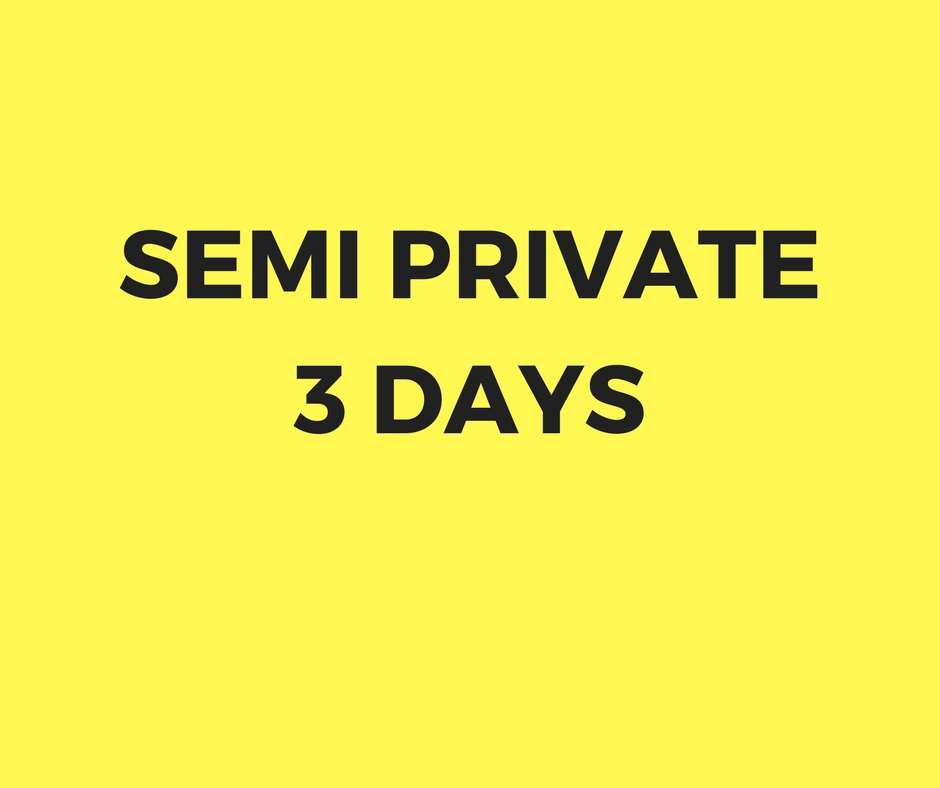 Semi private lesson 3 days package