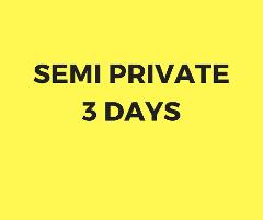 Semi private lesson 3 days package