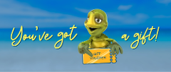 $85.00 Gift Card