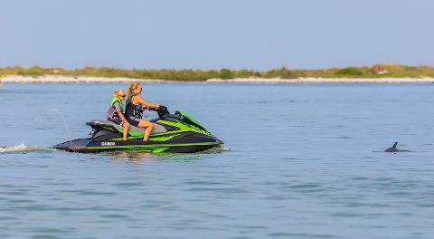 miami jet ski tour star island and wild dolphins