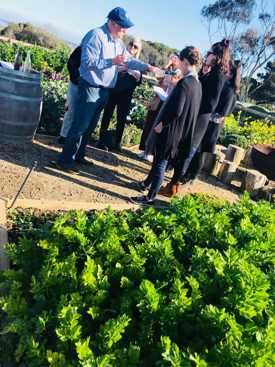 Bellarine Taster - Hens Geelong