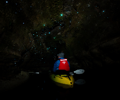 Glow Worm Kayak Tour - Educational NZQA Level 3 AS 91427