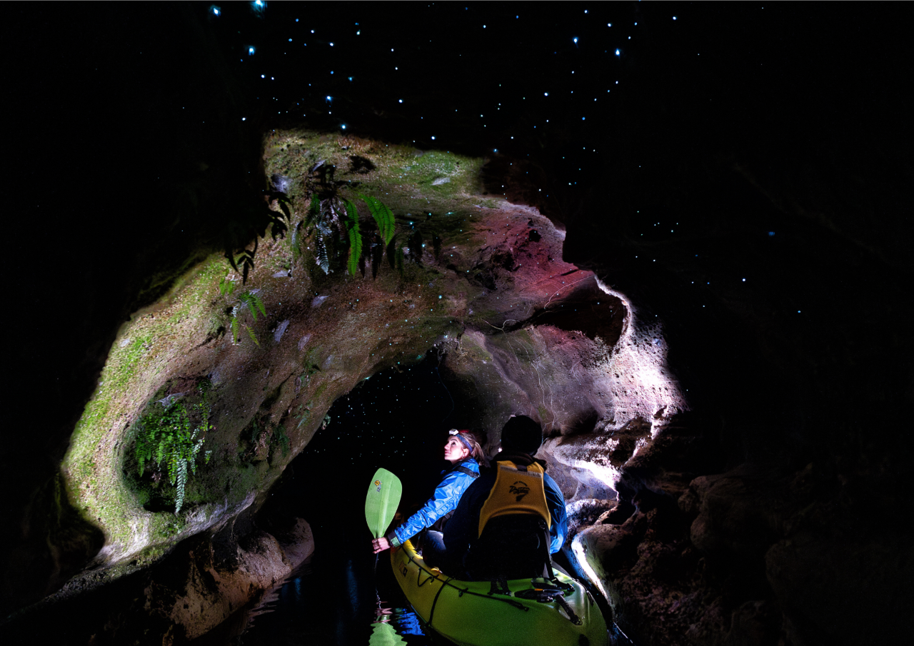 Glow Worm Kayak Tour (Private Guide)
