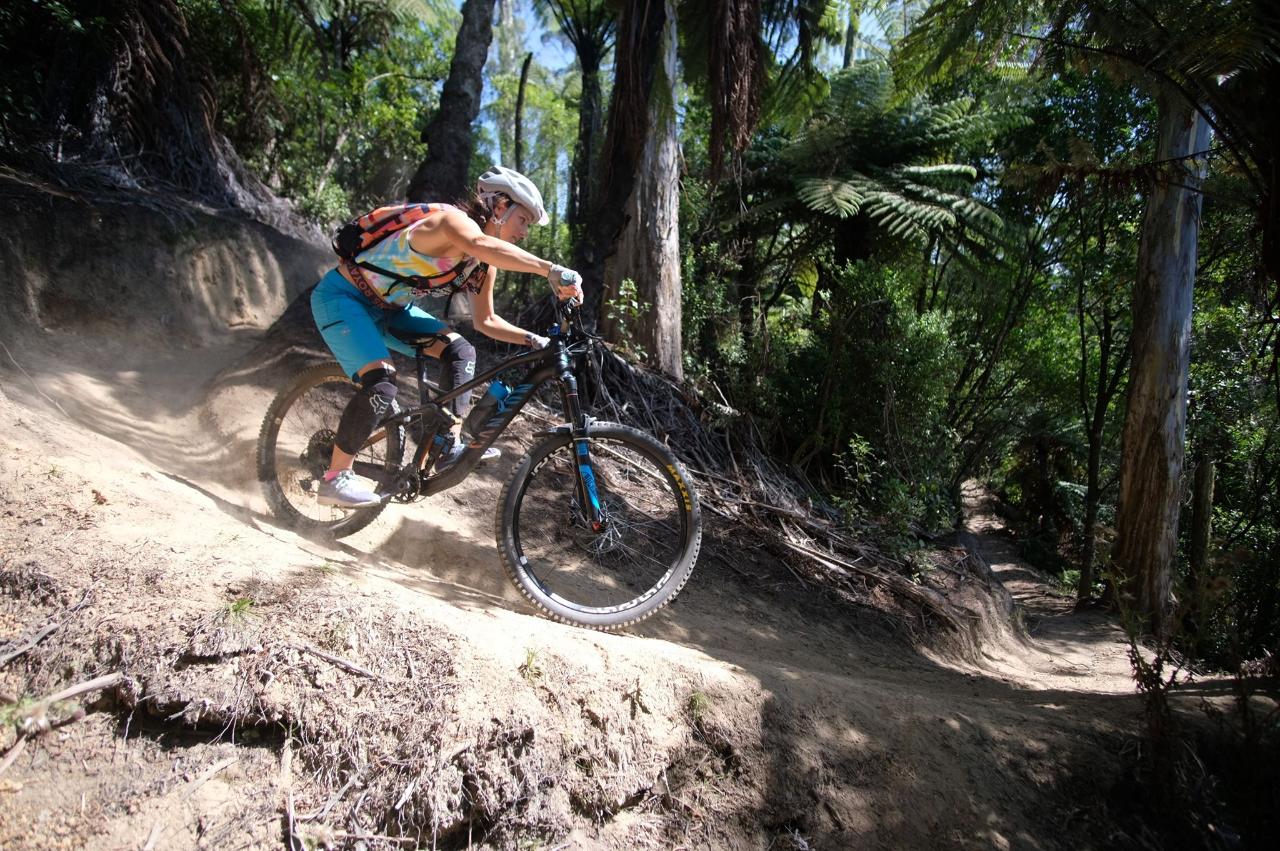 Redwoods Mountain Biking Tour
