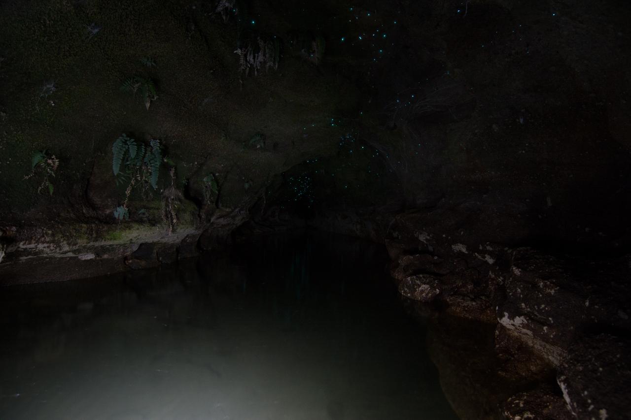 Daytime Kayak Cave and Glow Worm Tour
