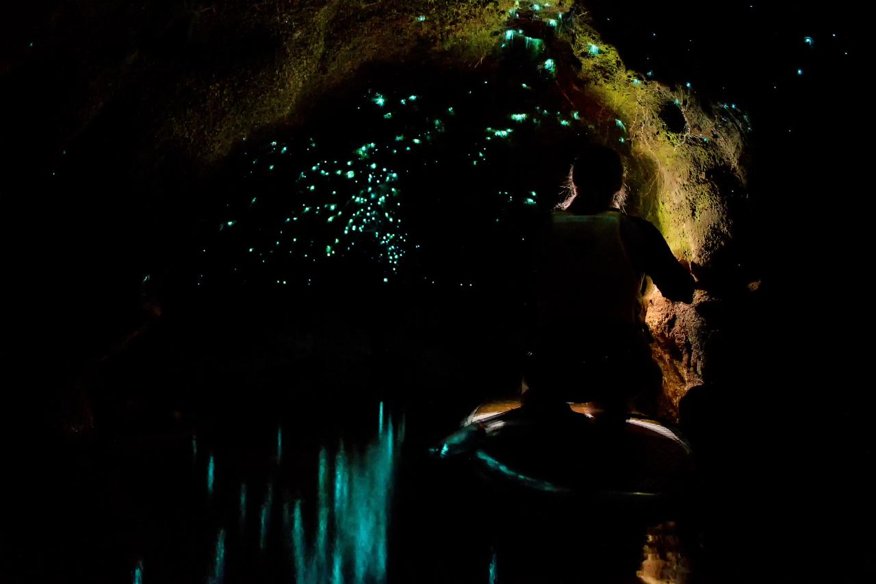 Twilight Kayak Glow Worm Tour