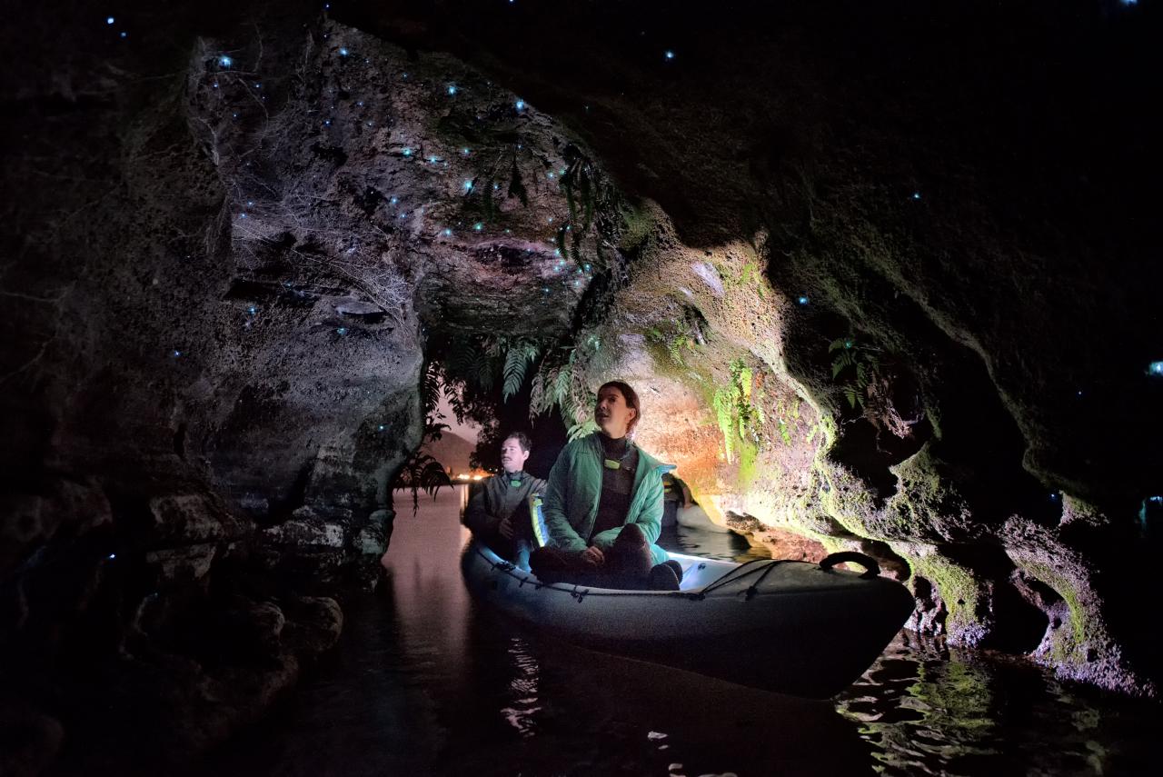 (Self Drive) Twilight Kayak Glow Worm Tour