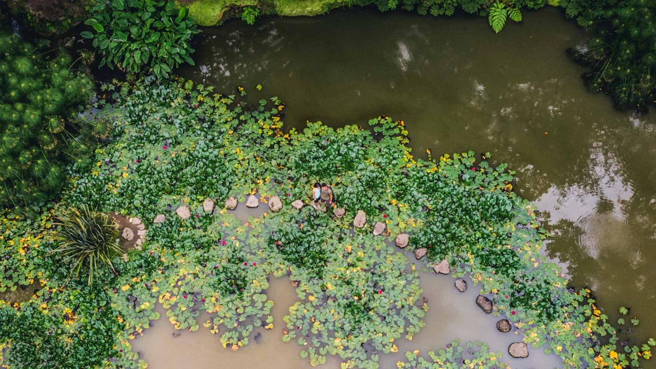 Whales & Furnas Botanic Gardens [Oct-Jun]